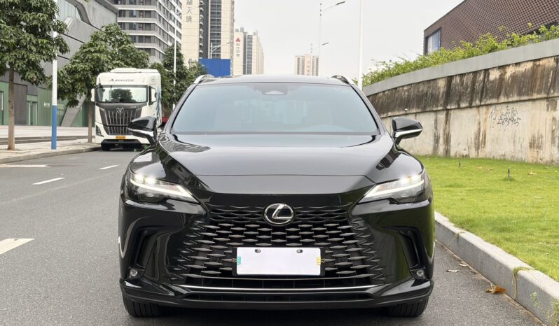 
								25款 雷克萨斯RX300四驱骏享版 满									