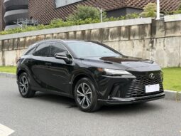 
										25款 雷克萨斯RX300四驱骏享版 满									