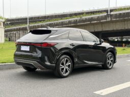 
										25款 雷克萨斯RX300四驱骏享版 满									