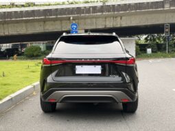 
										25款 雷克萨斯RX300四驱骏享版 满									