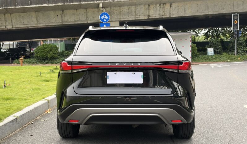 
								25款 雷克萨斯RX300四驱骏享版 满									