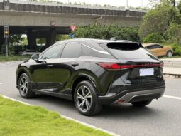 
										25款 雷克萨斯RX300四驱骏享版 满									