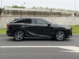 
										25款 雷克萨斯RX300四驱骏享版 满									