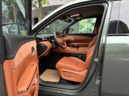 
										2025 GAC Trumpchi Xiangwang S7 180km Ultra AWD LiDAR Edition full									