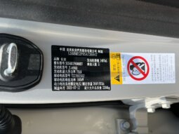 
										2025 Model Qiyuan Q07 215 Zunrong Edition full									