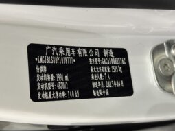 
										22款传祺GS8 双擎两驱尊贵7座 full									