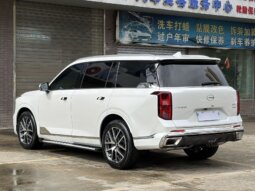 
										22款传祺GS8 双擎两驱尊贵7座 full									