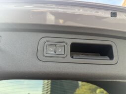 
										BYD比亚迪 唐新能源 2025款 DM-i 115KM 尊贵型 full									