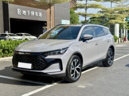 BYD比亚迪 唐新能源 2025款 DM-i 115KM 尊贵型