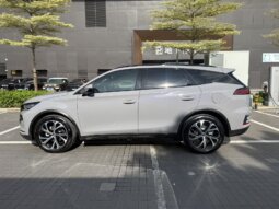 
										BYD比亚迪 唐新能源 2025款 DM-i 115KM 尊贵型 full									