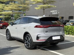 
										BYD比亚迪 唐新能源 2025款 DM-i 115KM 尊贵型 full									