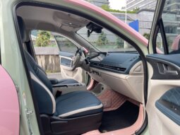 
										欧拉好猫 2022款 莫兰迪版 500km长续航 豪华型 三元锂 full									