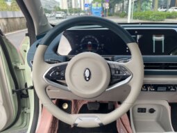
										欧拉好猫 2022款 莫兰迪版 500km长续航 豪华型 三元锂 full									
