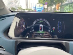 
										欧拉好猫 2022款 莫兰迪版 500km长续航 豪华型 三元锂 full									