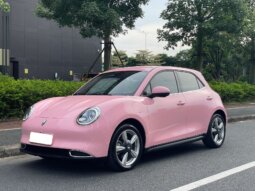 欧拉好猫 2022款 莫兰迪版 500km长续航 豪华型 三元锂