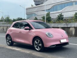 
										欧拉好猫 2022款 莫兰迪版 500km长续航 豪华型 三元锂 full									