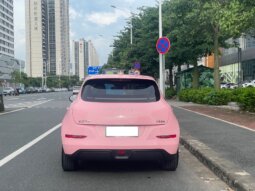 
										欧拉好猫 2022款 莫兰迪版 500km长续航 豪华型 三元锂 full									
